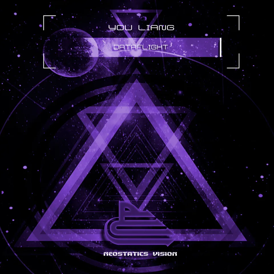 Dataflight — cover art