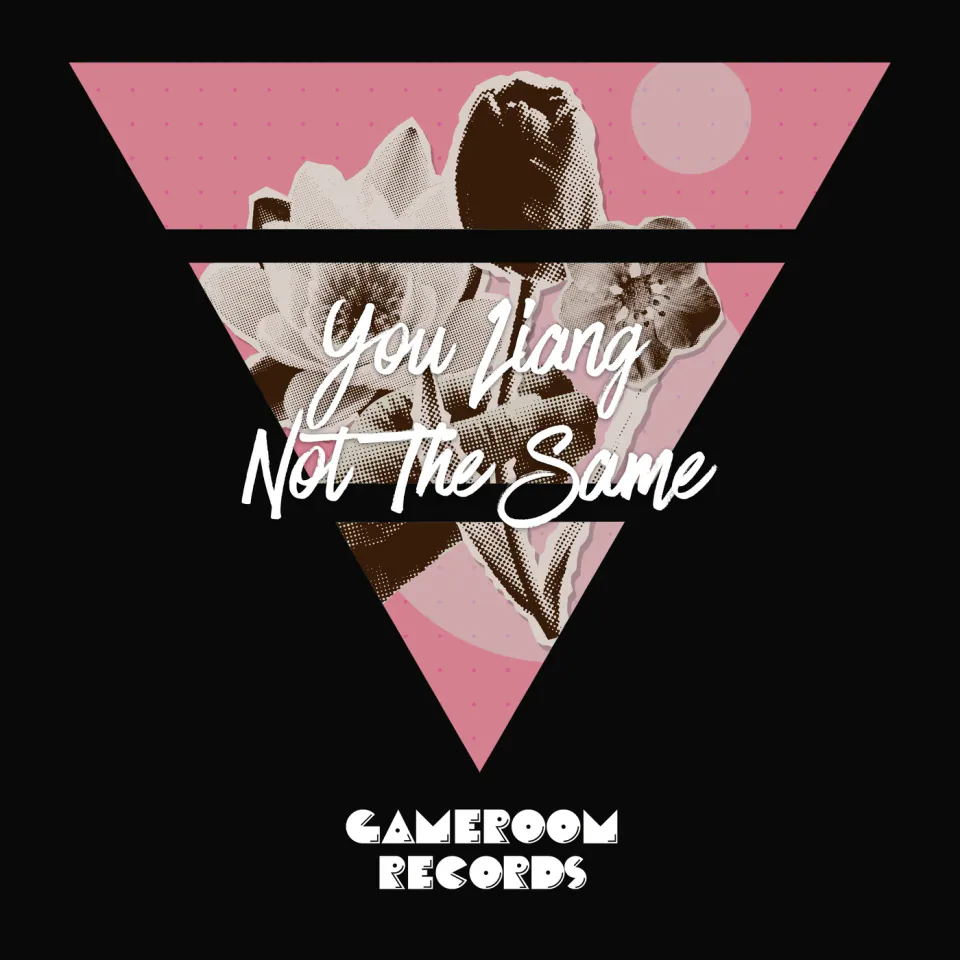 Not The Same — cover art