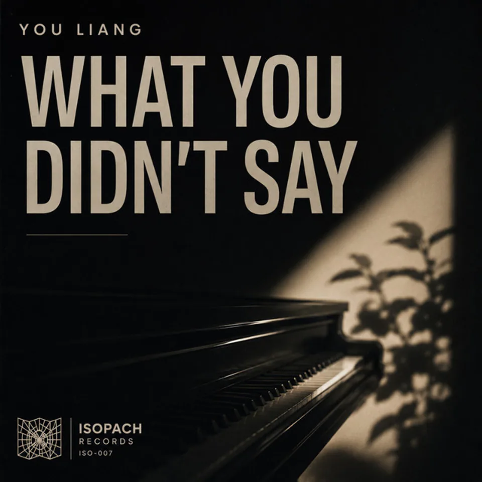 What You Didn't Say — cover art