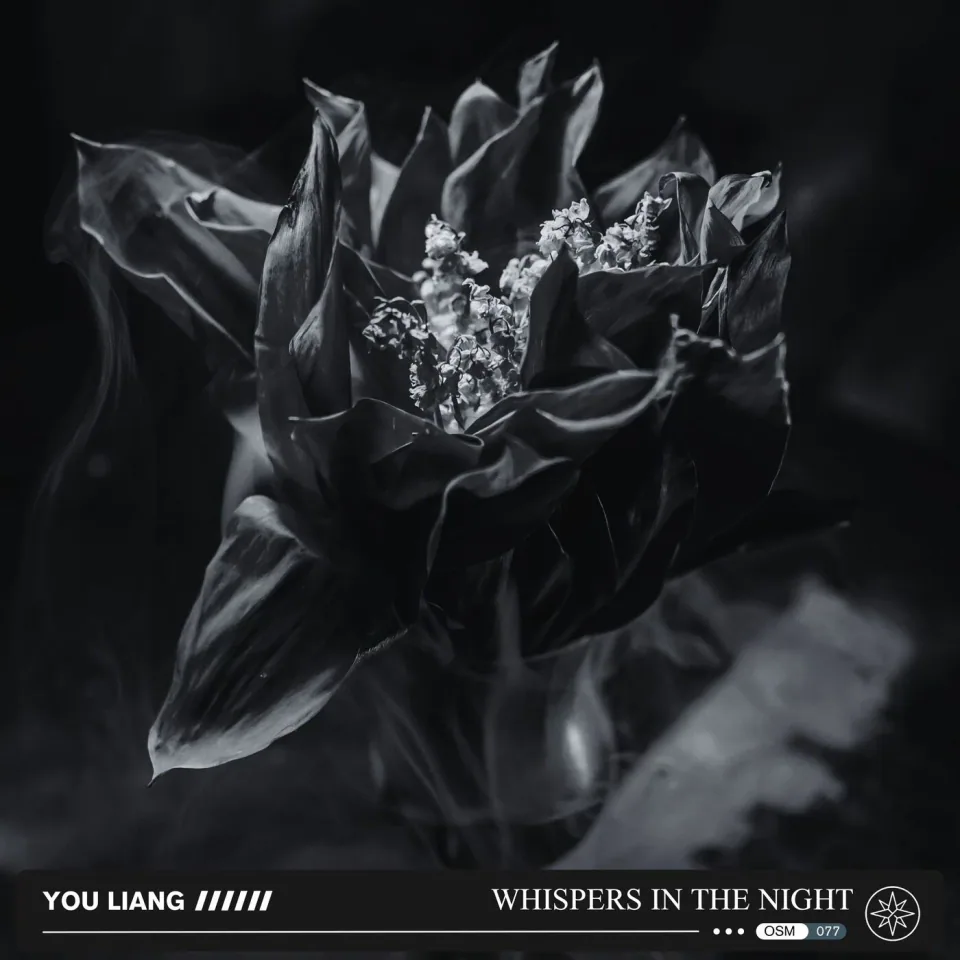 Whispers in the Night — cover art